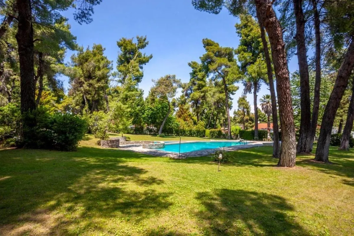 Palms Jacuzzi And Pool Villa Sani  Greece